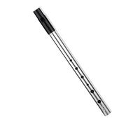 Targonix Irish Tin Whistle in Key of D, Silver Metal Penny Whistle with ABS Mouthpiece, Six-Hole D Tin Whistles for Beginners and Professional Music Performers