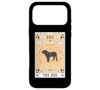 Tarot Card The Dog Alano Espanol Celestial Space Galaxy Case for iPhone 17 Pro Max