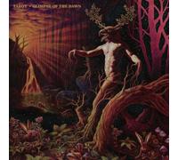 Tarot - Glimpse Of The Dawn