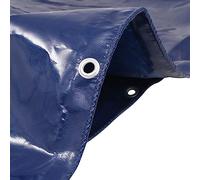 Tarpaulin 650 g/m² Canvas with PVC Coating 3 x 6 m Blue Water-Repellent Tear-Resistant UV Resistant with Eyelets for Garden, Construction, Car, Boat, Camping, Outdoor Protection