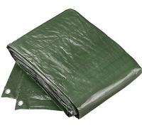 Tarpaulin 6x8m in green