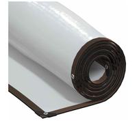 Tarpaulin Clear PE 4x10m Transparent with Black Reinforced Edges Eyelets Durable