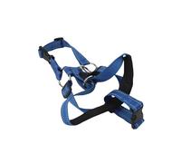 TARSHYRY Dog Head Collar, Neoprene Padding Muzzle Leash with Reflective Adjustable Straps and Safety Strap, for Pet Training and Walking (S)