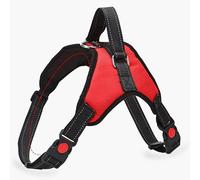 TARSHYRY Reflective Dog Harness with Leash for Small to Large Breeds, Outdoor Pet Vest for Walking and Training (M)