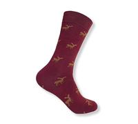 Tartan Studio Mens Socks | Gifts Inspired by Scotland (UK, Numeric, 4, 6, Regular, Regular, Stag)