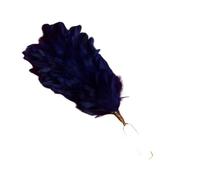 Tartancity Glengarry Cap Feather Plume Hackle - Balmoral Hat Scottish Highland Headwear Accessory Multi-Color (Royal Blue)