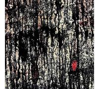 Tashi Dorji & Tyler Damon - Both Will Escape [VINYL]