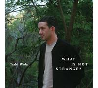 TASHI WADA: WHAT IS NOT STRANGE? - LP vinyl