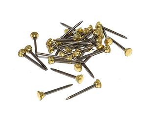 Taskar 25 x 24mm Brass Headed Knurled Picture Pins Heavy Duty Nail Hook Photo Frame Wall Hanging DIY