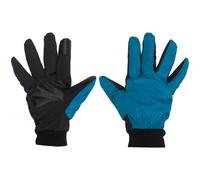 Taslan Starling® Gloves Yule Bleu Taille 10