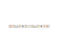 Taśma LED line 300 SMD3528 24V 11000K 4,8W 5 lat gwar. 241796/30m/