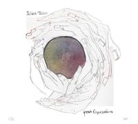 Tassin, Julien - Great Expectations [VINYL]