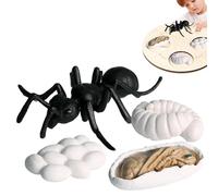 Tasteless Life Cycle Figurines Set - PP Figures Moth Butterfly Turtle Ant Frog Toy Kit | Perfect For Improving Children's Cognitive Ability, STEM Educational Toy For Kids