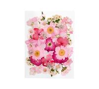 Tastetreasure 37 Pcs Real Natural Dried Pressed Flowers Pink Mix incl. Hydrangea & Daisy for Resin Molds, DIY Crafts, Wedding Cards, Nail Art & Candle Making Mixed Floral Kit Vacuum Sealed