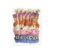 Tastetreasure 40Pcs Dried Pressed Flowers for Resin, Natural Real Dry Flowers Kit includes Hydrangea & Daisy for DIY Crafts, Scrapbooking, Candle Making and Wedding Card Home Decor