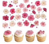 Tastetreasure 50Pcs Natural Dried Flowers for Cake Decoration, Pink Pressed Flowers for Baking Drinks Cocktails, Real Floral Decoration for Resin Crafts DIY Art Candle Making, 1 Pack