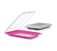 TATAY Cold Meat Containers for Fridge | Set of 2 Standard | Fridge Storage | Removable Lid, Stackable | Microwave, Freezer and Dishwasher Safe | BPA-Free, 17 x 3.2 x 25.2 cm, Fuchsia & Gray