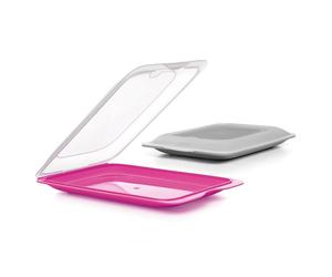 TATAY Cold Meat Containers for Fridge | Set of 2 Standard | Fridge Storage | Removable Lid, Stackable | Microwave, Freezer and Dishwasher Safe | BPA-Free, 17 x 3.2 x 25.2 cm, Fuchsia & Gray