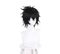 Tate no Yuusha no Nariagari Naofumi Iwatani Cosplay Wigs 30cm Short Black Synthetic Hair Perucas Anime Wig + Wig Cap