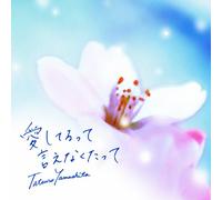 Tatsuro Yamashita - Aishiterutte Ienakutatte [Import]