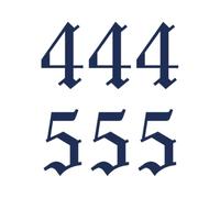 Tattwo.me - Temporary tattoo for adults and children, lasts 2 weeks, water resistant - angel numbers 444 and 555 - Plant-based ink - EU cosmetic certificate - (P0066)