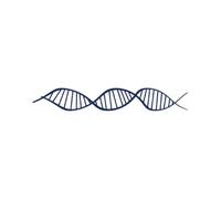 Tattwo.me - Temporary tattoo for adults and children, lasts 2 weeks, water resistant - DNA - Plant-based ink - EU cosmetic certificate - (P0313)