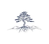 Tattwo.me - Temporary tattoo for adults and children, lasts 2 weeks, water resistant - imposing tree with its roots - Plant-based ink - EU cosmetic certificate - (G0022)