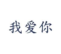 Tattwo.me - Temporary tattoo for adults and children, lasts 2 weeks, water resistant - love written in Chinese - Plant-based ink - EU cosmetic certificate - (P0076)