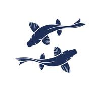 Tattwo.me - Temporary tattoo for adults and children, lasts 2 weeks, water resistant - two koi carp - Plant-based ink - EU cosmetic certificate - (P0755)