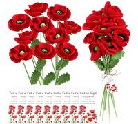 Tatuo 12 Set Poppy Crochet Flowers with Memorial Gifts Cards Remembrance Memorial Day Lest We Forget Poppy Sympathy Gifts for Veterans Independence Day