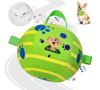 TAUCHGOE Electric Dog Toys, Interactive Dog Toys with Music, Dog Plush Toys, Bluetooth Enabled, Suitable for Medium and Small Dogs, Diameter size 4.33" (Green)