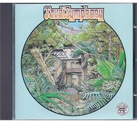 Taudi Symphony - Taudi Symphony