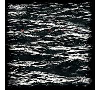 Taumel - Now We Stay Forever Lost in Space Together(Gtf.Lp) [VINYL]