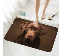 Taupe Bath Mat Non Slip 60x90cm, Quick-drying Bathroom Shower Floor Mat, Super Absorbent Carpet, Indoor Rugs Easy to Clean Washable Rug for Bedroom, Living Room, Kitchen, Toilet, Door, Bathtub 5-1122