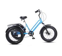 TAURU Tricycle Bicycle for adults 20 inch,7 Speed 3-Wheel Bike,4.0 tire,Cruiser Cycling Tricycle With Shopping Baskets And Mudguards (blue)