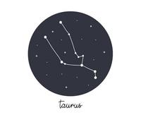 Taurus Sweatshirt - White - L - White