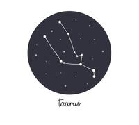 Taurus Women's T-Shirt - White - XL - White