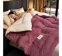 Tauzveok Cozy Thicker Warmth Quilt Comforter, Soft Super Thick Winter Warm Blanket Artificial Lamb Cashmere Weighted Blankets for Beds,Dousha b,220 * 240cm 5 kg