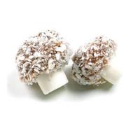 Taveners Coconut Mushrooms 250g