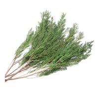 Tavkite 3.5OZ Preserved Real Pine Leaves Branches -17'' Natural Christmas Greenery Plants Twigs Stems Pine Needles Evergreen Picks for Garland Wreath Xmas Wedding Home Party Indoor Outdoor Decor