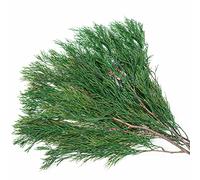 Tavkite 4OZ Preserved Real Pine Leaves Branches -17'' Natural Greenery Plants Pine Twigs Stems Pine Needles Evergreen Picks for Garland Wreath Xmas Wedding Home Party Decor Indoor Outdoor Decoration
