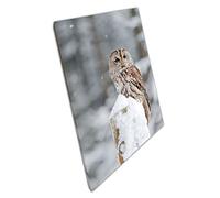 Tawny Barn Owl On Snowy Wooden Post In Winter Woodland Wall Art Print On Canvas Picture For Home Office Decor 61x41cm (24x16In)