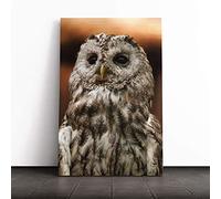 Tawny Owl Canvas Wall Art Print 20x14 Inch