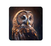Tawny Owl Face Splashart Dark Background Coasters - Set of 4 Warren Reed - Designer Brown One Size