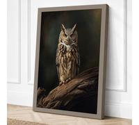 Tawny Owl Perched Japandi Canvas Wall Art Print 30x20 Inch