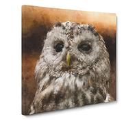 Tawny Owl Vol.1 Canvas Print | Gallery Wrapped 30mm Frame Wall Art | 14x14 inches | Ready to Hang | Modern Animals Picture | Living Room Bedroom Lounge Office