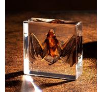 Taxidermy Bat in Resin, Realistic Wet Specimen Oddity Gift for Goth Lovers & Weird Decor Fans, Chibiubiu Oddities & Curiosities - Birthday Gifts for Men Women (3x3 Inch)
