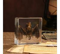 Taxidermy Bat, Real Bat Specimens Animal Specimen in Resin for Science Classroom Science Education, Great Gift for Fans of Taxidermy, Animal Skull, Oddities, Biology(3 x 3 x 1 inch)
