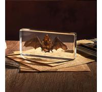 Taxidermy Bat, Real Bat Specimens Animal Specimen in Resin for Science Classroom Science Education, Great Gift for Fans of Taxidermy, Animal Skull, Oddities, Biology(5.5x2.5x0.7 Inch)