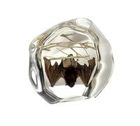 Taxidermy Bat,Real Taxidermy Bat,Taxidermy Bat in Resin,Oddities and Curiosities Halloween Decor Bat Specimen for Science Classroom Specimens Education,Memorial Gift for Women,Collectable Insect Decor